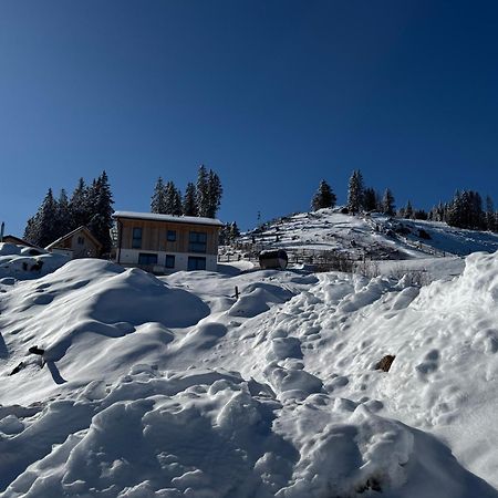 Berglisl - Direkt An Der Schipiste! Neue Ferienwohnung Mit Sauna Klippitztorl Luaran gambar
