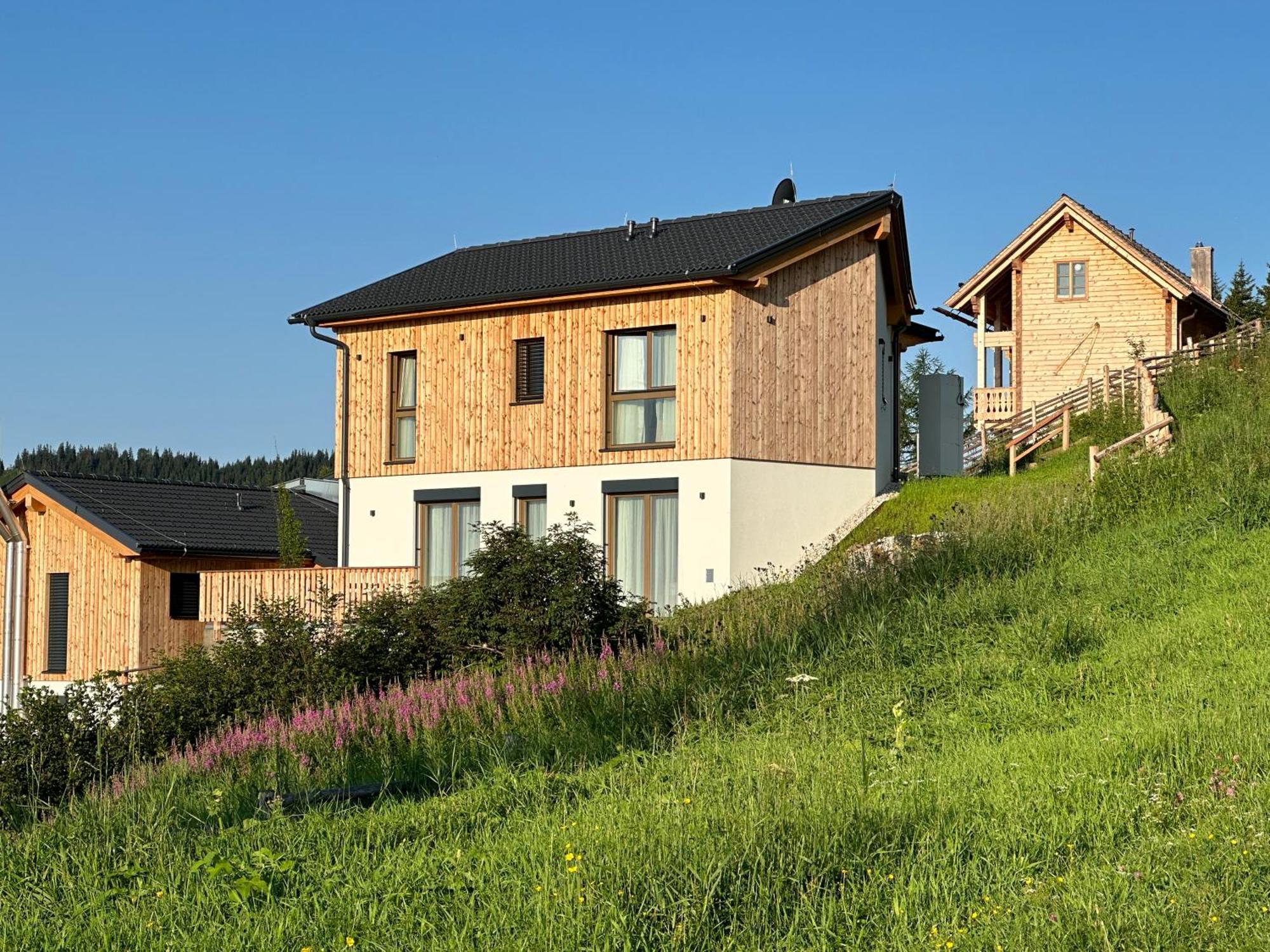 Berglisl - Direkt An Der Schipiste! Neue Ferienwohnung Mit Sauna Klippitztorl Luaran gambar