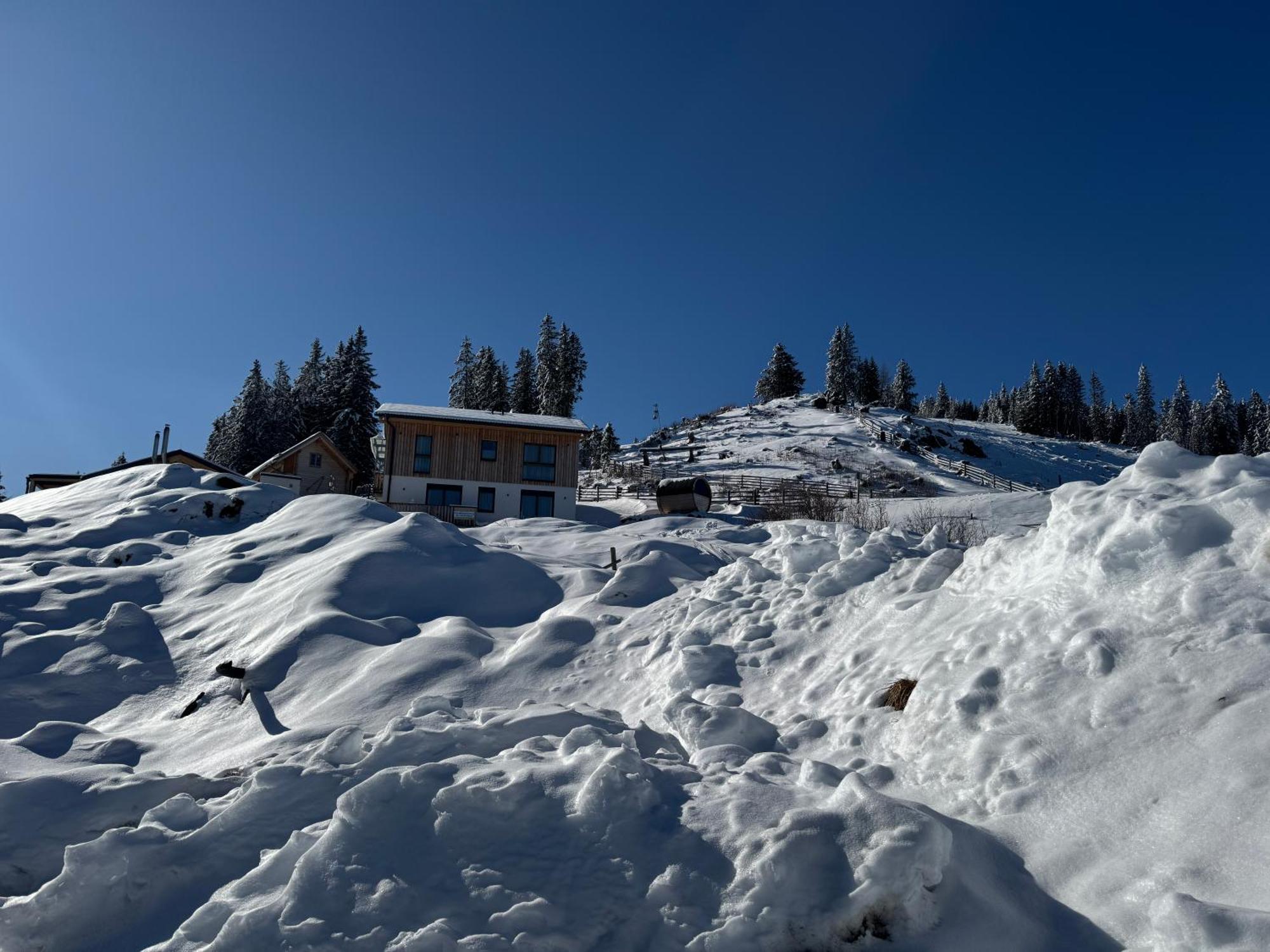 Berglisl - Direkt An Der Schipiste! Neue Ferienwohnung Mit Sauna Klippitztorl Luaran gambar